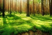 世界举重青年联赛选手心理关怀项目常态化运行，世界举重协会